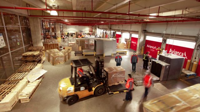 Este San Valentin: Avianca Cargo traslado 11.000 toneladas de flores a USA.