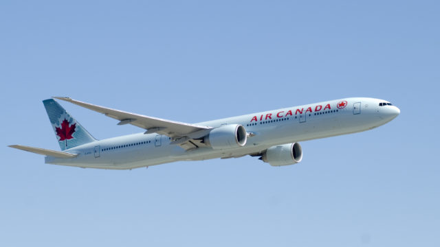 Air Canada Cargo, primera aerolínea con certificación para el transporte seguro de animales