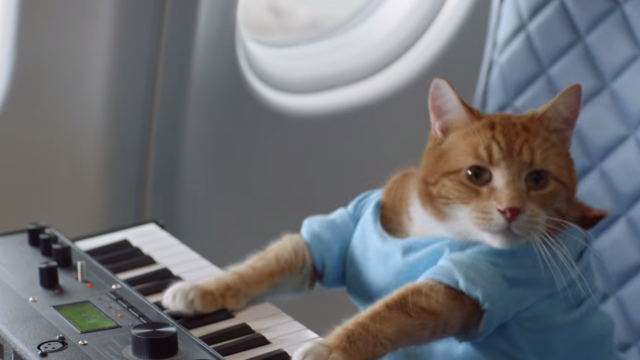 Los Memes Top de Internet se verán en el nuevo video de seguridad de Delta