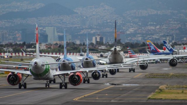 Operaciones en el AICM afectadas por presencia de aves