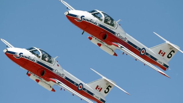 «Bird Strike» como posible causante de accidente del CT-114 de los Snowbirds