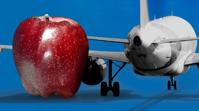 Pasajera multada por una manzana
