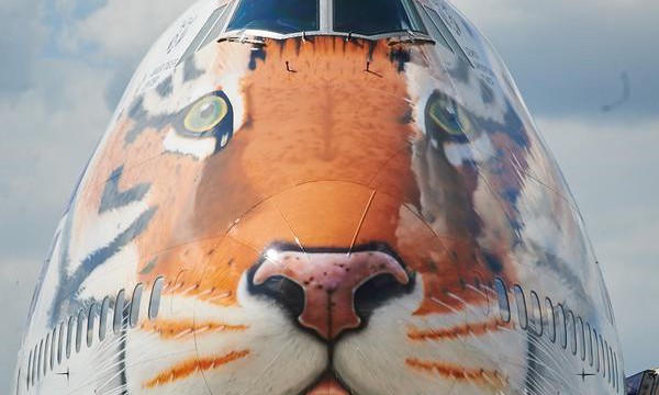 Transaero presenta una imagen especial
